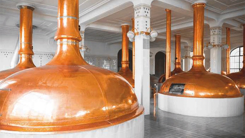 CO2 en fermentación y elaboración de cerveza