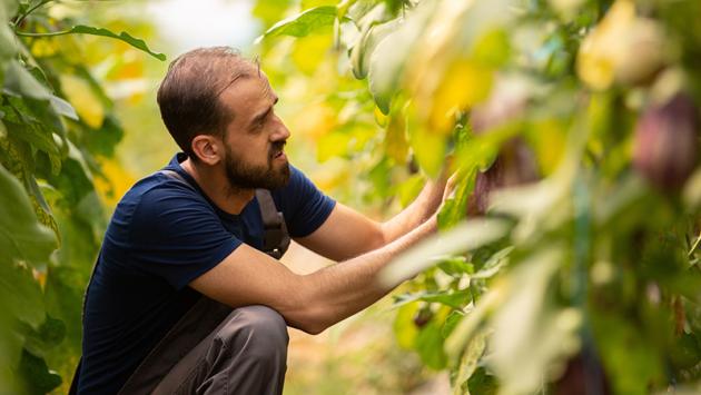 CO2 en la cadena alimentaria