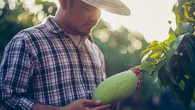 El futuro de los alimentos y el rol de la tecnología de medición